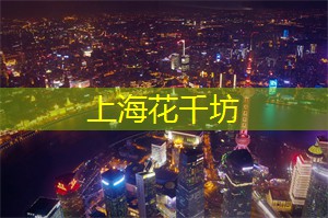 感受上海后花园夜晚的迷人魅力，星空下的浪漫难以忘怀！