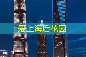 致狗宝